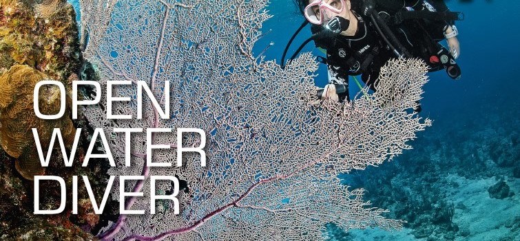 Open Water Diver